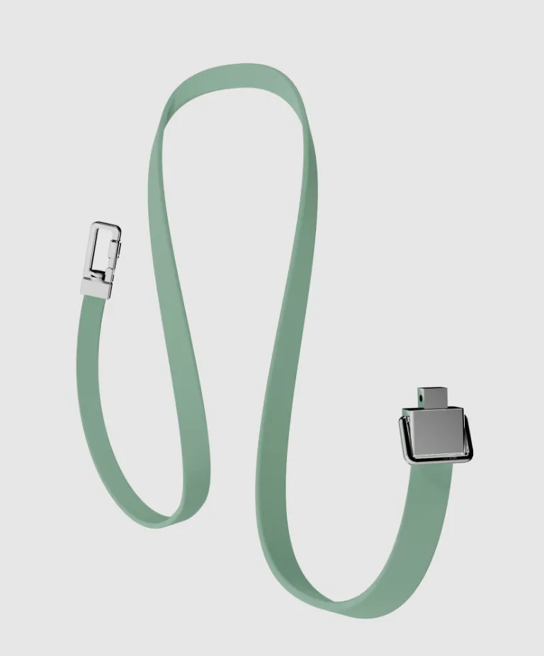 Frank Green Pet Lead